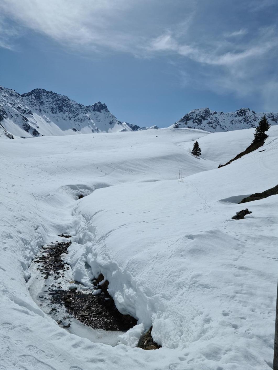 Fewo D'Rock Arosa- Center Of Nightlife By Nature Apartments Switzerland Esterno foto